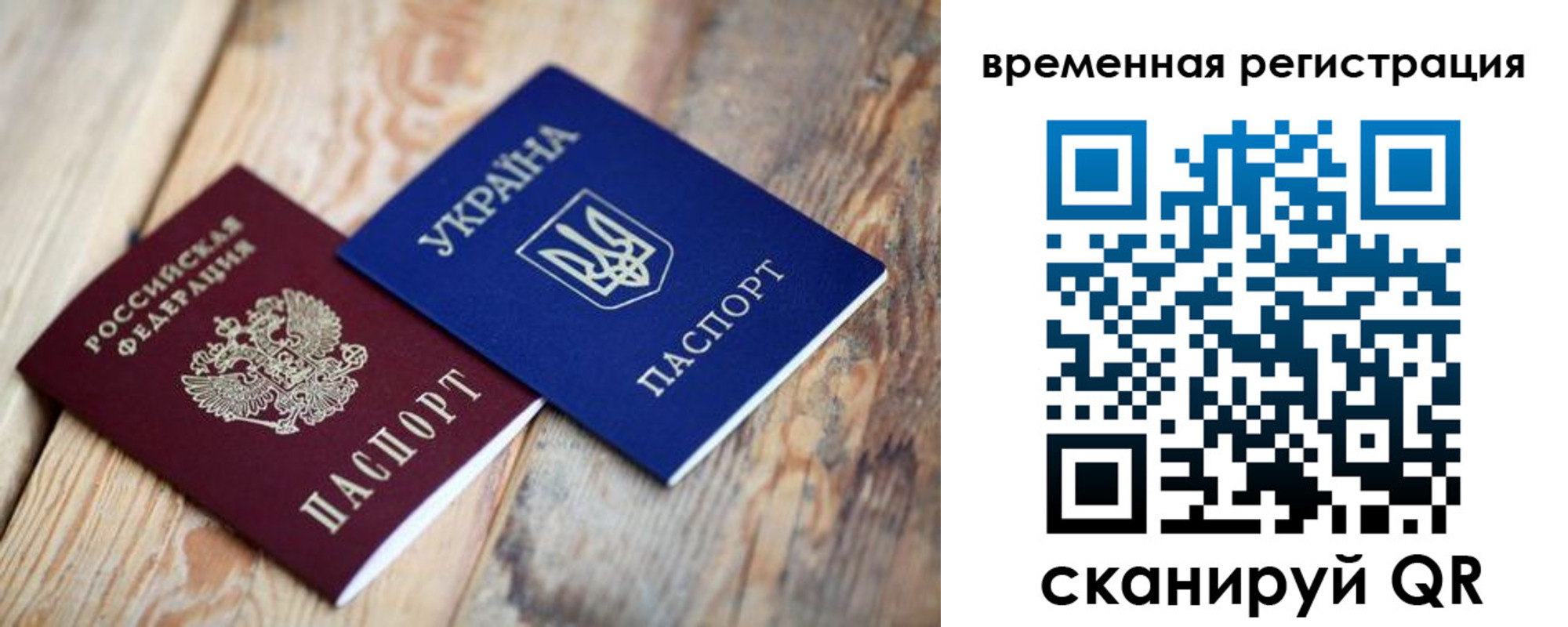 где прописаться в Ельне